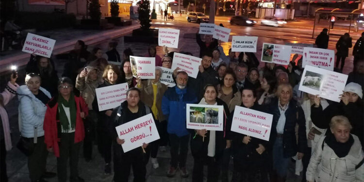 İzmir'de hayvanseverler köpek ölümlerine tepki gösterdi