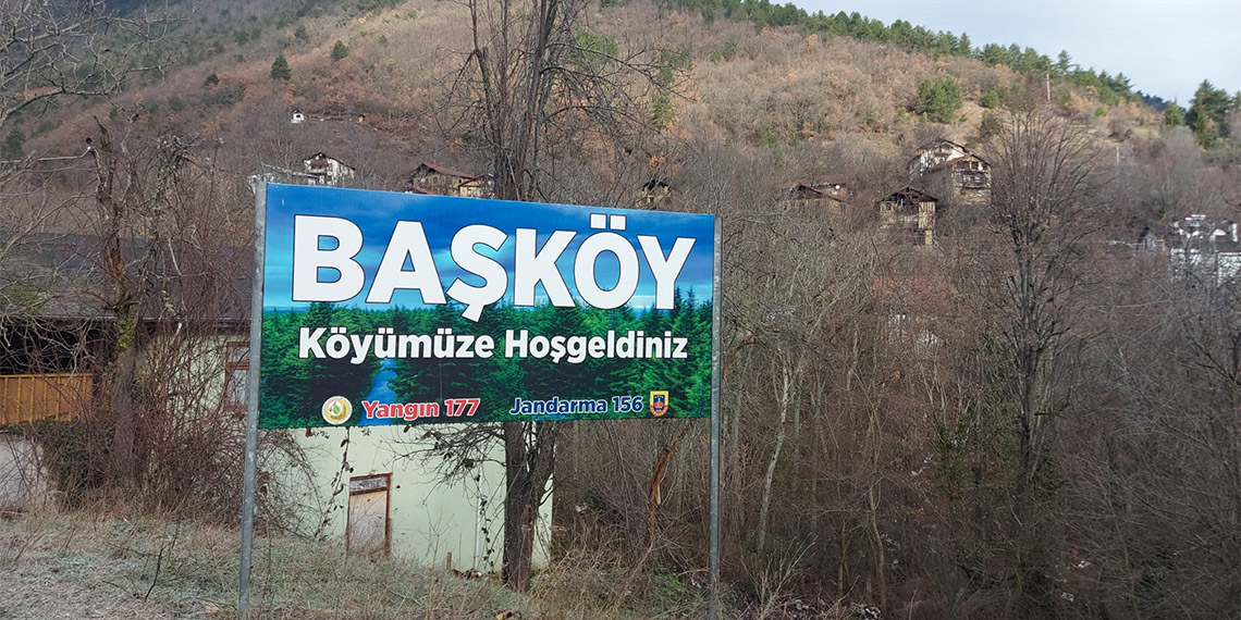 Hayvanların zehirlenerek öldürüldüğü iddiasıyla soruşturma başlatıldı