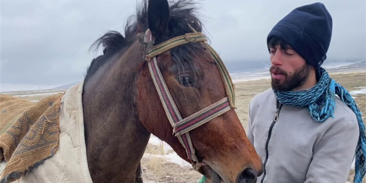 Kars'ta taylar için yarış düzenlendi
