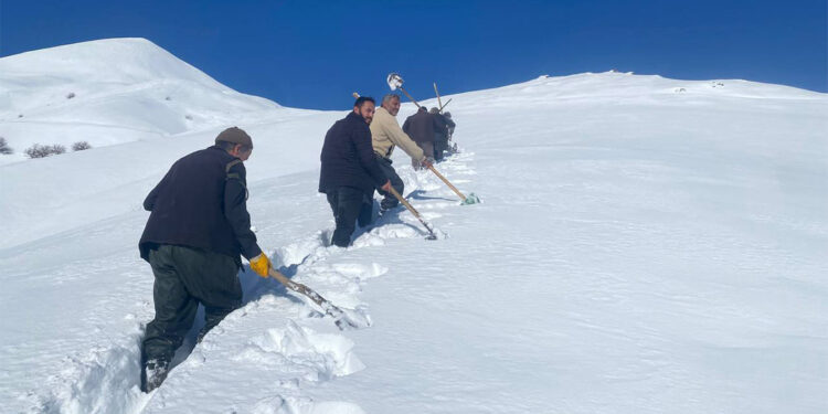 Küreklerle karlı bölgeyi aşıp, mahalleye su getirdiler