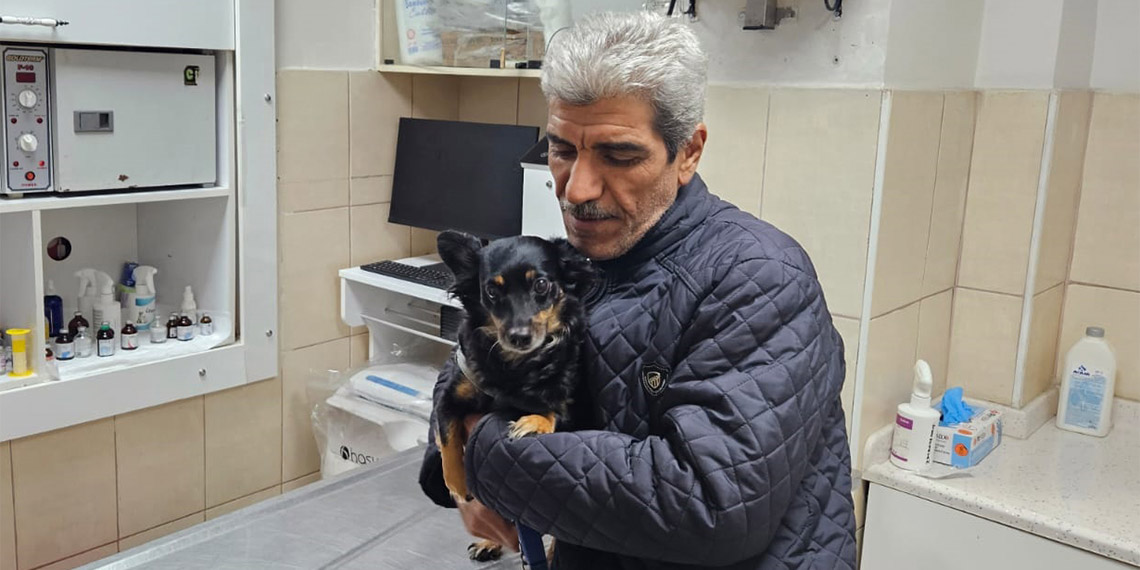 Suzi'nin makat bölgesindeki tümör ameliyatla alındı