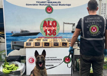 Mersin Limanı'nda 77 kilogram kokain ele geçirildi