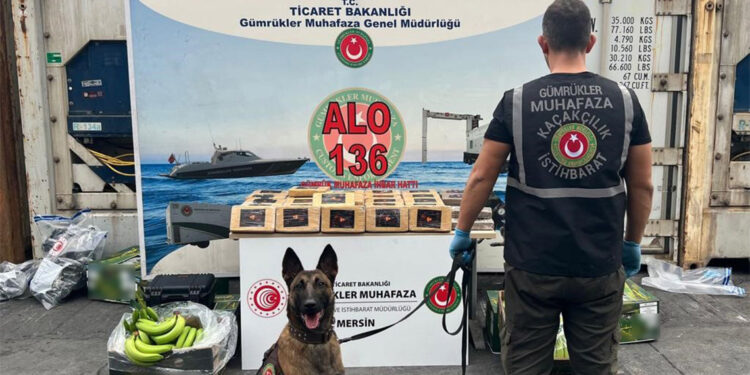 Mersin Limanı'nda 77 kilogram kokain ele geçirildi
