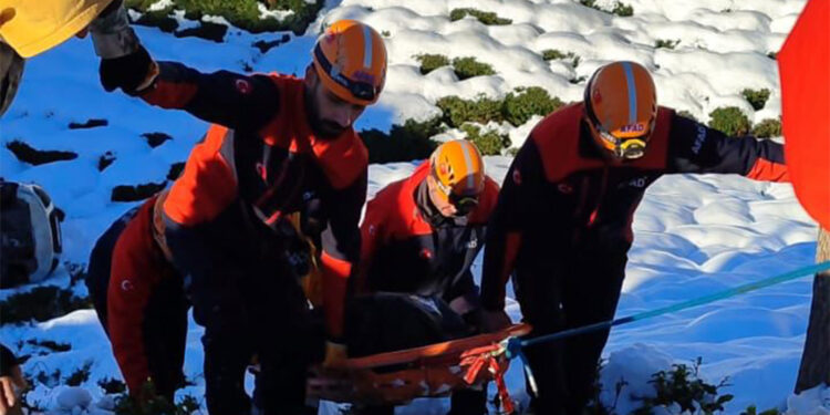 Çay tarlasına yuvarlanan hafif ticari aracın sürücüsü öldü