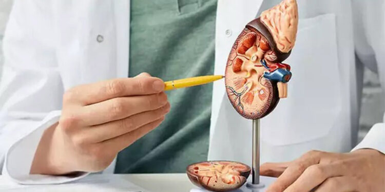 Teknoloji bağımlılarında böbrek taşı riski daha yüksek