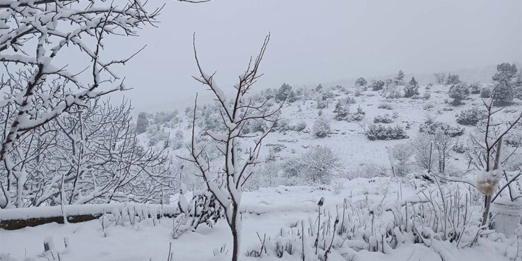Toros Dağları'nın zirveleri beyaza büründü, don uyarısı yapıldı