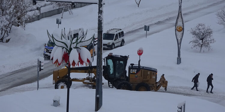 Yüksekova'da 180 yerleşim yerinin yolu kardan kapandı