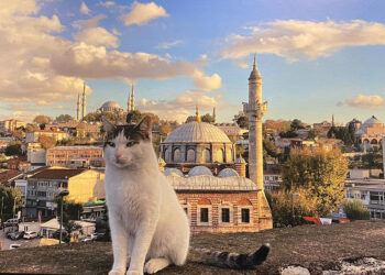‘Gençlerin gözünden İstanbul’ sergisi açıldı