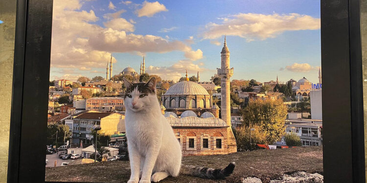 ‘Gençlerin gözünden İstanbul’ sergisi açıldı