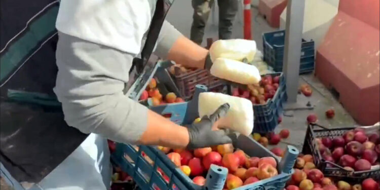 48 ilde 242 uyuşturucu satıcısı yakalandı