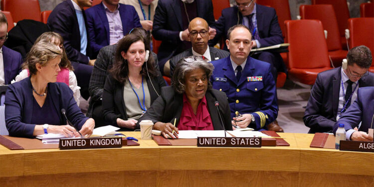 Cezayir'in karar taslağını veto ederiz