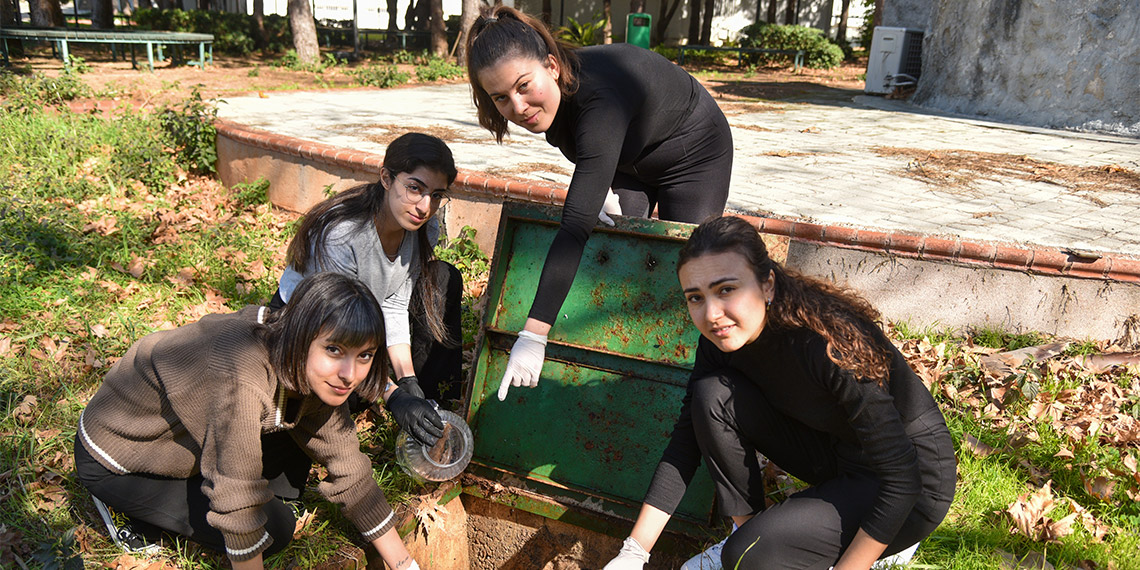 Rögarda, foseptikte bulunan hamam böceklerini elleriyle ya da elektrikli süpürgeyle toplayıp, laboratuvarda deneylerde kullanıyorlar.