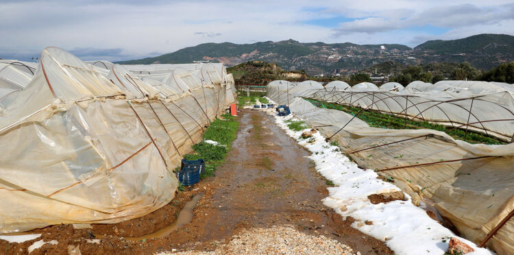 Antalya'da dolu yağışı seralara zarar verdi