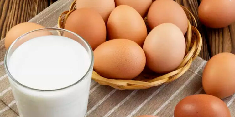 Aralıkta yumurta üretimi ve inek sütü miktarı arttı