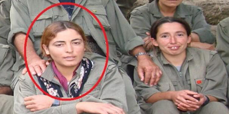 MİT'ten Kamışlı'da nokta operasyon