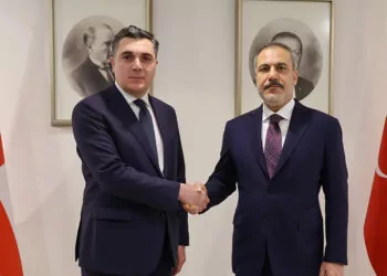 Bakan fidan, gürcistan dışişleri bakanı ile görüştü
