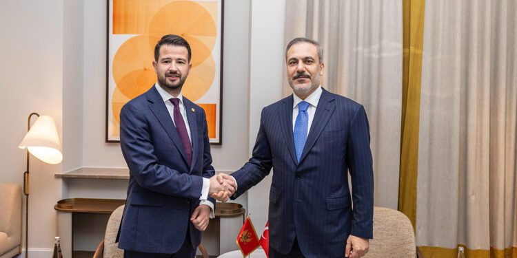 Bakan Fidan, Karadağ Cumhurbaşkanı ile görüştü