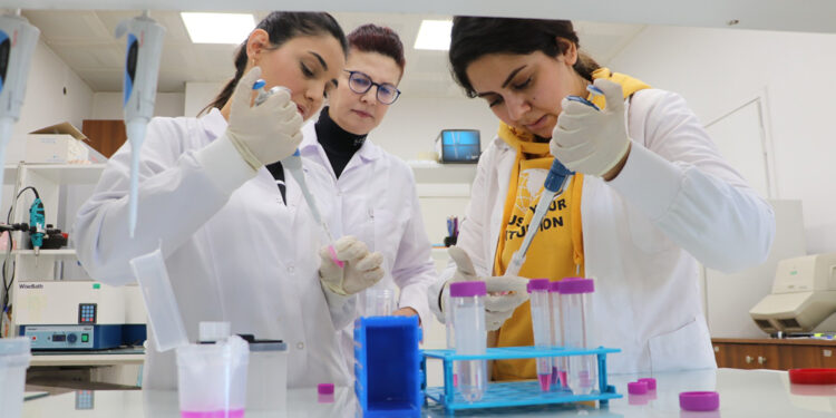 Beyin tümörüne karşı 'akıllı ilaç'