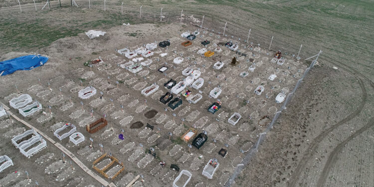 CİMER'e 'hayvan mezarlığı' şikayeti 