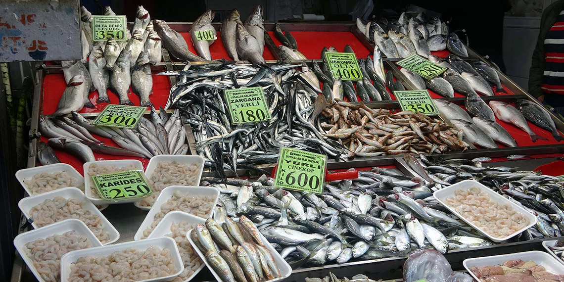 Çanakkale'de 'denizin prensi' lüferin kilosu 900 TL oldu