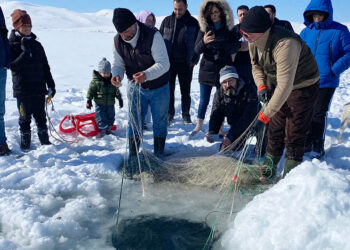 Çıldır Gölü'nde Eskimo usulü balık avladılar