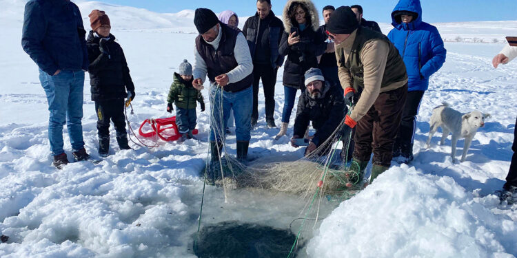 Çıldır Gölü'nde Eskimo usulü balık avladılar