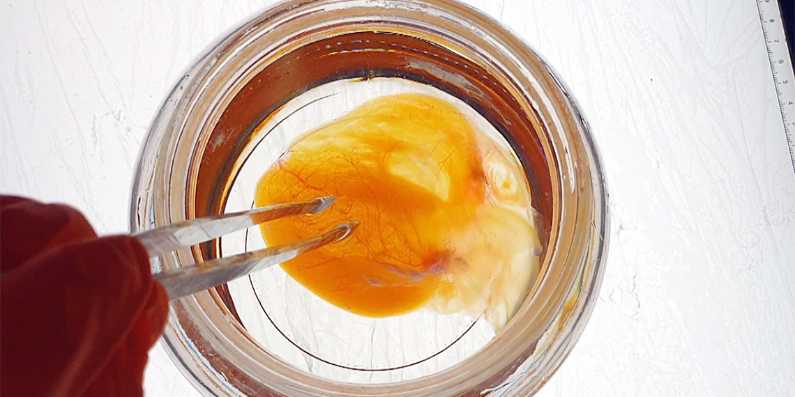 Almanya Helmholtz Doku Mühendisliği Enstitüsü Direktörü Prof. Dr. Ali Ertürk, dünya tıp tarihine geçecek çalışmalarını gerçekleştirdiği laboratuvarlarının kapısını Demirören Haber Ajansı'na açtı.