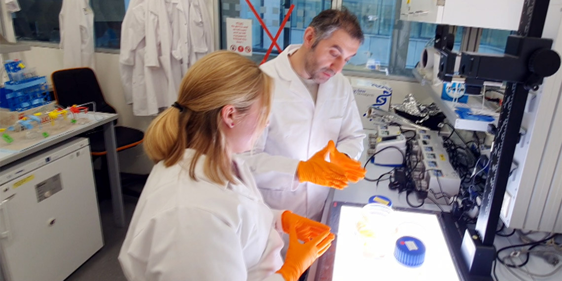 Dünya tıp tarihine geçecek çalışmalarda Türk imzası