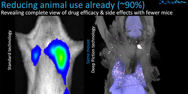 Dünya tıp tarihine geçecek çalışmalarda Türk imzası