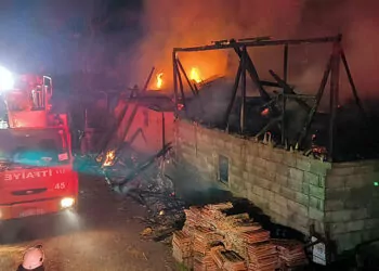 Düzce'de ahır ve samanlık yangını; 4 büyükbaş öldü