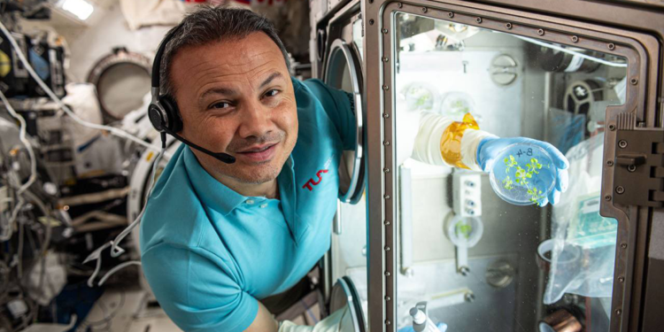 Gezeravcı, yaptığı bitki deneylerinden fotoğraflar paylaştı