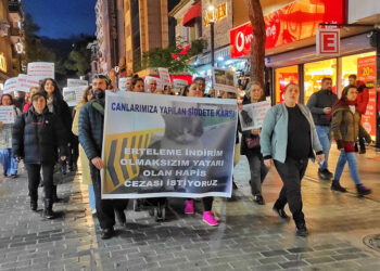 Vahşice öldürülen Eros isimli kedi için yürüdüler