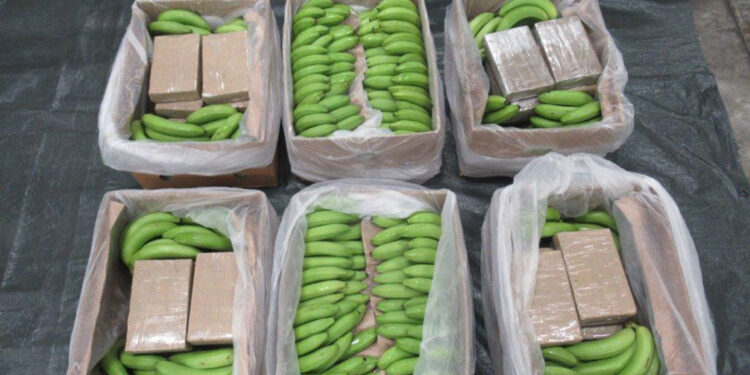 İngiltere’de rekor miktarda uyuşturucu madde ele geçirildi