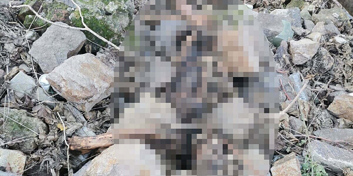 Kızı Ezgi'nin katilinin kemikleri bulunmuştu; Acılı anne "Acımızı sahiplenen herkese minnettarız. Umarım hiçbir kadının hayallerinin yarım bırakılmadığı adil bir dünyaya uyanabiliriz" dedi