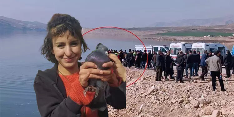 Kayıp Rojvelat'ın baraj gölünde cesedi bulundu