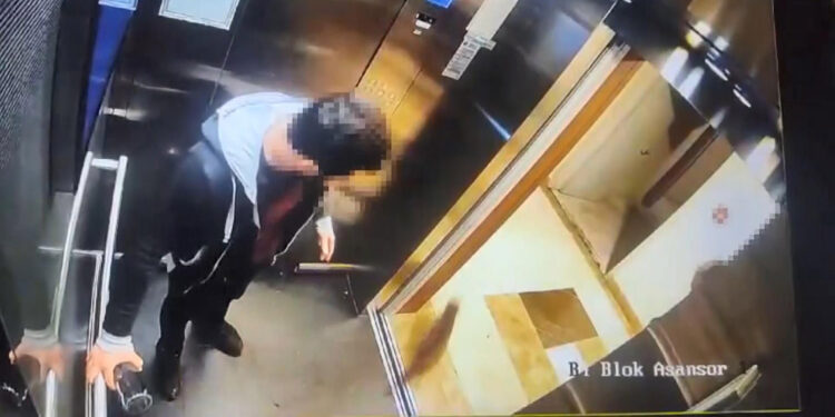 Kediyi tekmeleyerek öldüren sanık yeniden yargılanacak