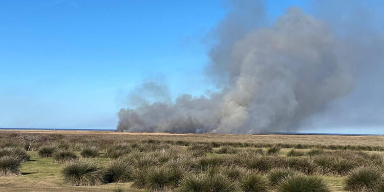 Kızılırmak Kuş Cenneti'nde çıkan yangın, kontrol altında