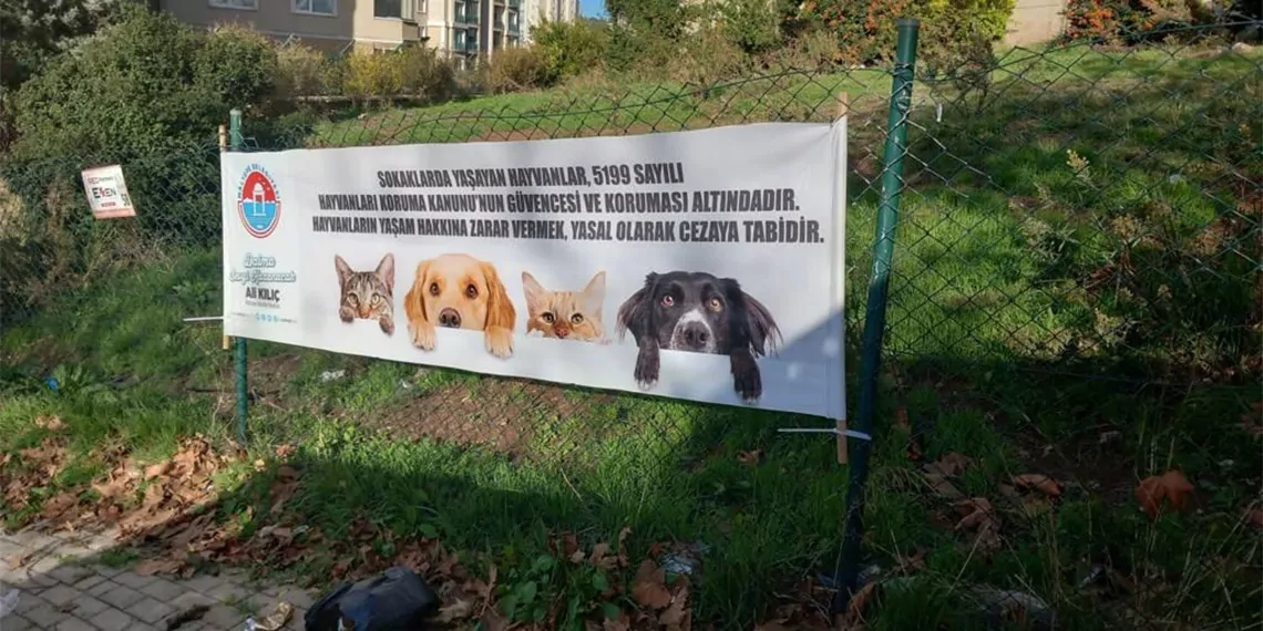 Maltepe'de, iddiaya göre bir siteye giren kedi tekmelendi. Kaburgaları kırılan kediye hayvanseverler sahip çıkarak veterinere götürdü.