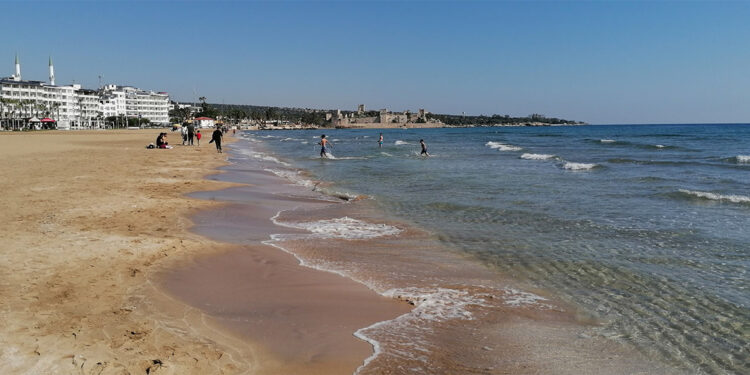 Kıyıya çok sayıda ölü denizanası vurdu
