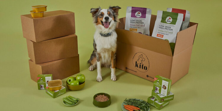 Mama markası Kito, 225 bin dolar yatırım aldı