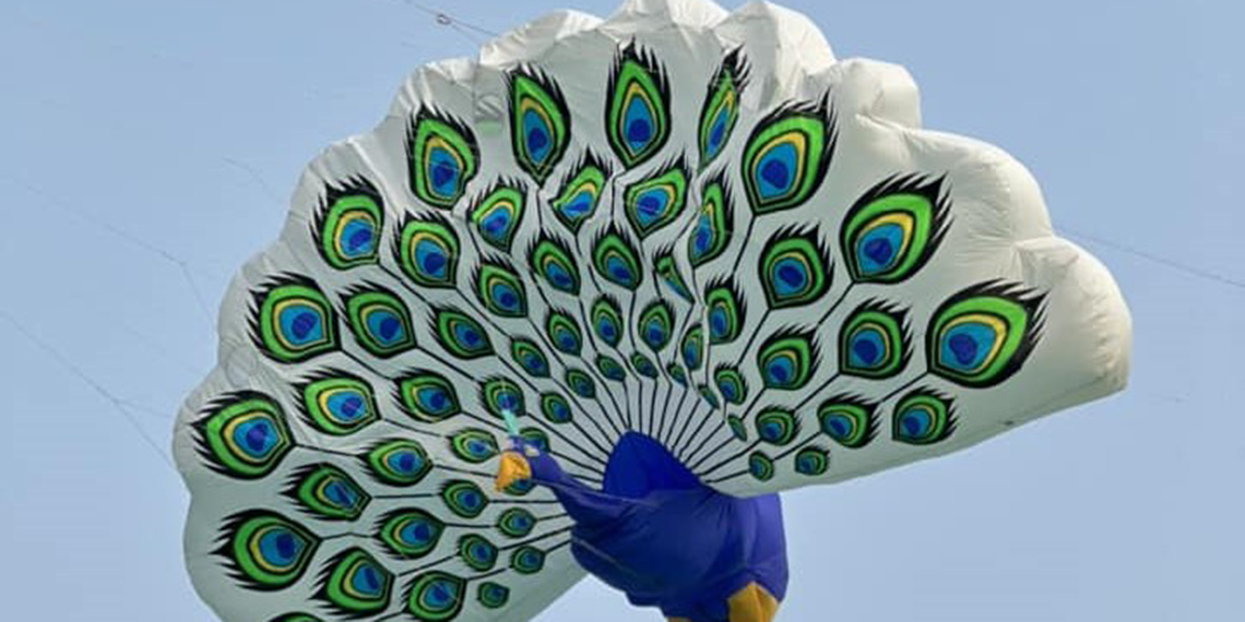 Mardinli tavus kuşu uçurtması, bu kez Hindistan’da uçtu