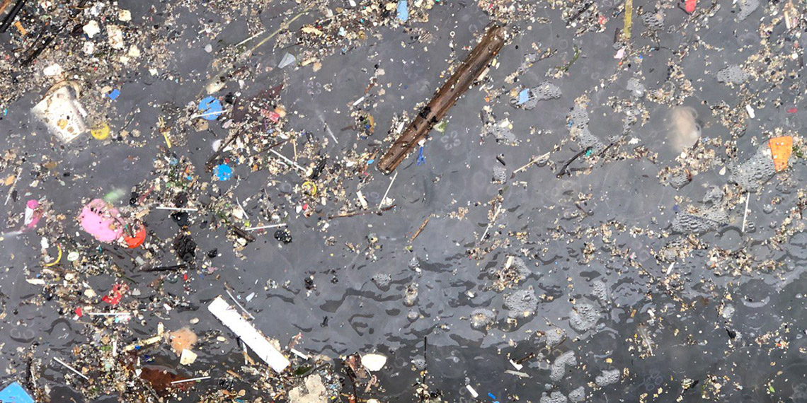 Türkiye Tabiatını Koruma Derneği (TTKD) bilim danışmanı Dr. Erol Kesici, Marmara Denizi'nde denizanası işgalini görüntüledi. Dr. Kesici, Marmara'da depremden sonraki en önemli ikinci tehlike olarak gösterdiği istilacı denizanalarının toplanması gerektiğini söyledi.