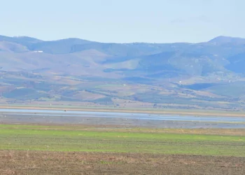 Marmara gölü'nün tarıma açılması davasında yeni detaylar