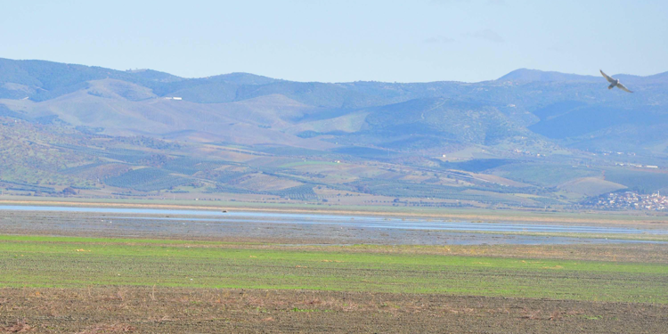 Marmara Gölü'nün tarıma açılması davasında yeni detaylar