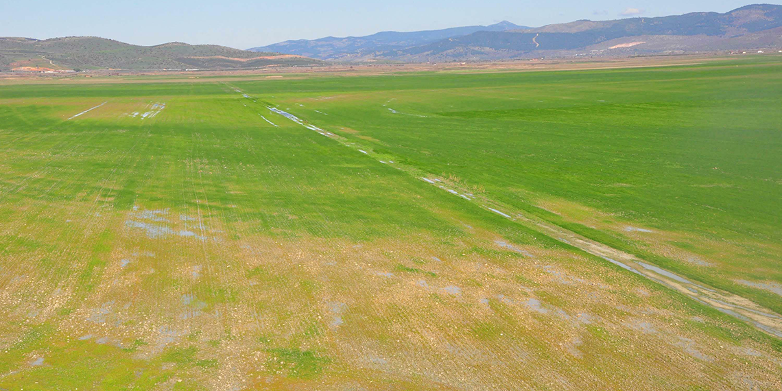 Manisa'da, kuraklık ve su kaybı nedeniyle kuruyan ve Türkiye'nin ilk iklim davasına konu olan Marmara Gölü'nün tarıma açılmasına ilişkin Tarım İşletmeleri Genel Müdürlüğü (TİGEM), Devlet Su İşleri (DSİ), Tarım ve Orman Bakanlığı ile Manisa Valiliği arasındaki iş birliği protokolünün iptali için açılan davada mahkeme, keşif ve bilirkişi incelemesi yapılmasına karar verdi.