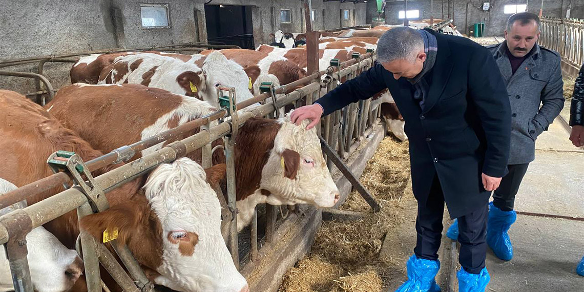 Süt üreticisi çiğ süt fiyatlarıyla ilgili uyardı