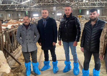 Süt üreticisi çiğ süt fiyatlarıyla ilgili uyardı
