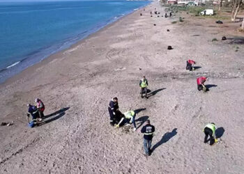 Mersin'de carettaların yumurtlama alanları temizlendi