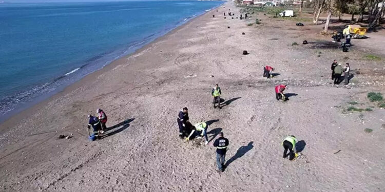 Mersin'de carettaların yumurtlama alanları temizlendi