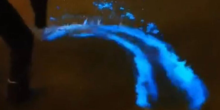 Mudanya sahilinde görülen mavi ışık, yakamoz çıktı